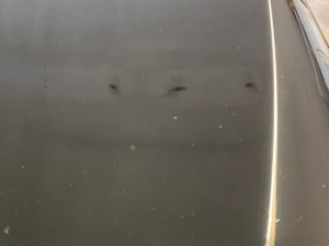 Rav 4 Hood Scratch/Paint fill